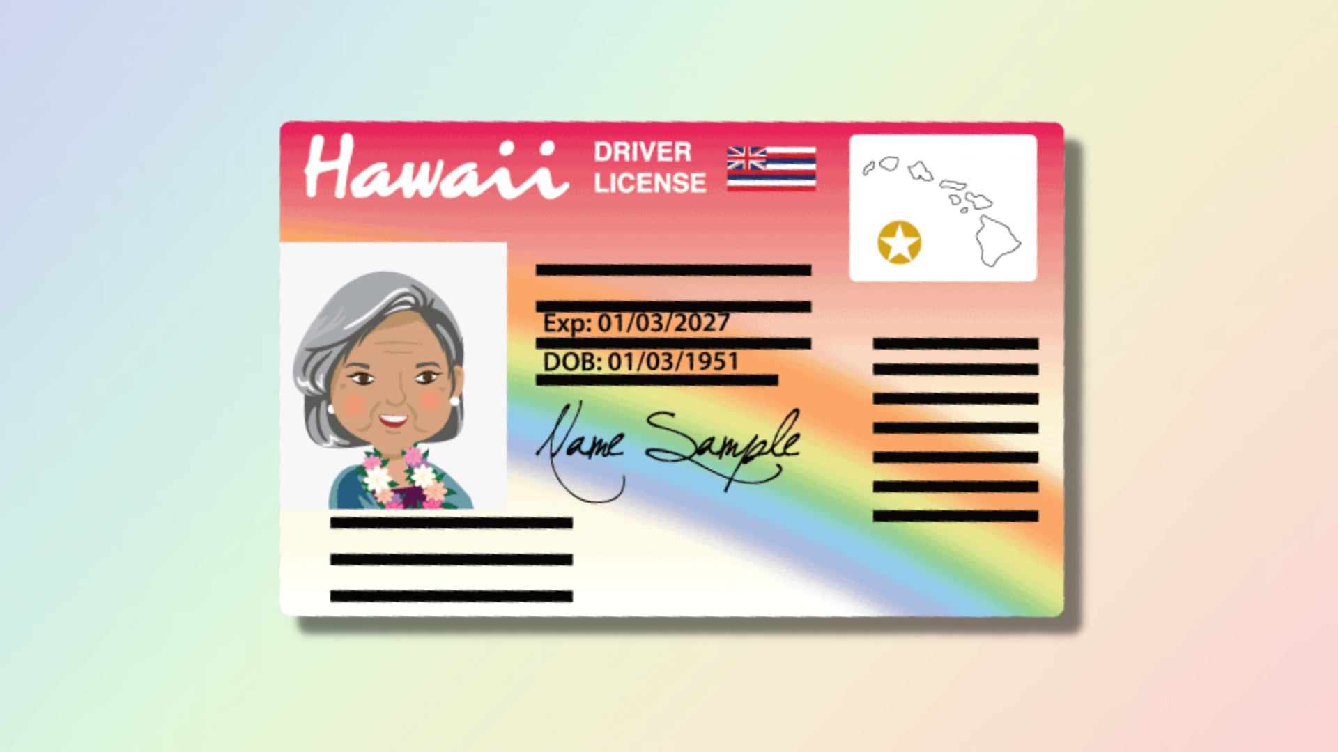 city and county of honolulu driver's license