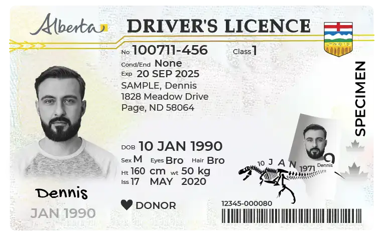 class 4 driver's license canada