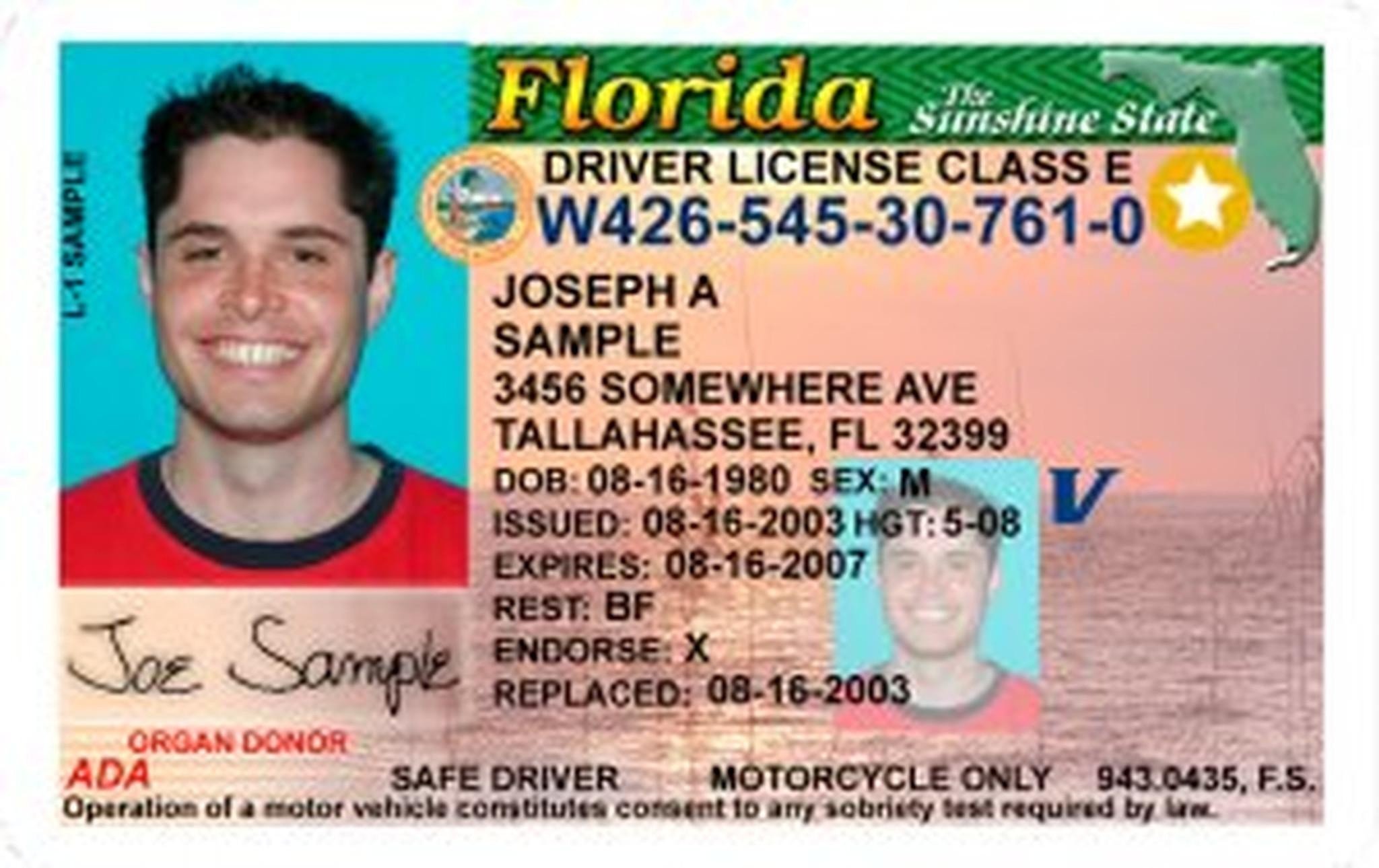 class e on driver's license