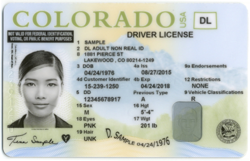 colorado class b driver's license