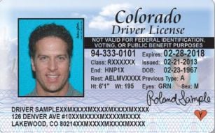 colorado driver's license