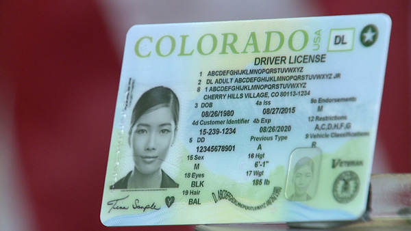colorado duplicate driver's license