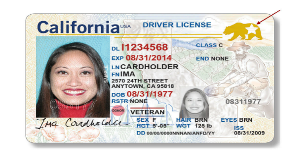 commercial driver's license california