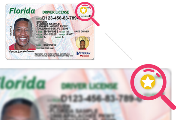 copy of fl driver's license