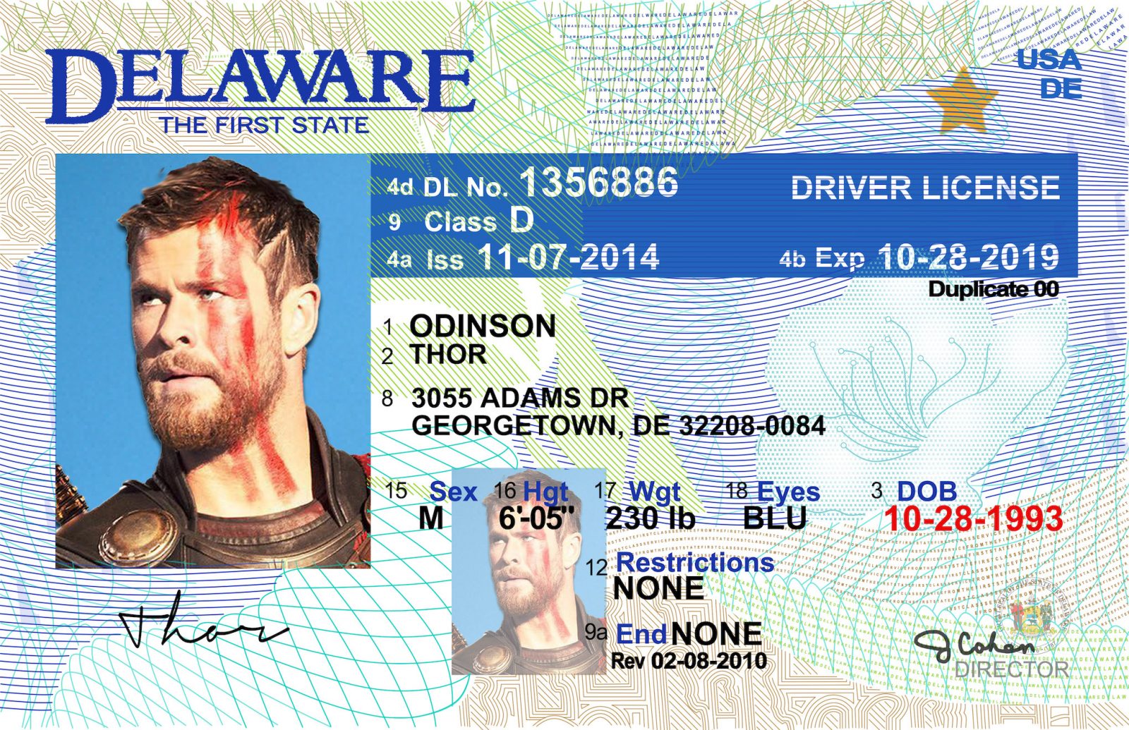 delaware county driver's license