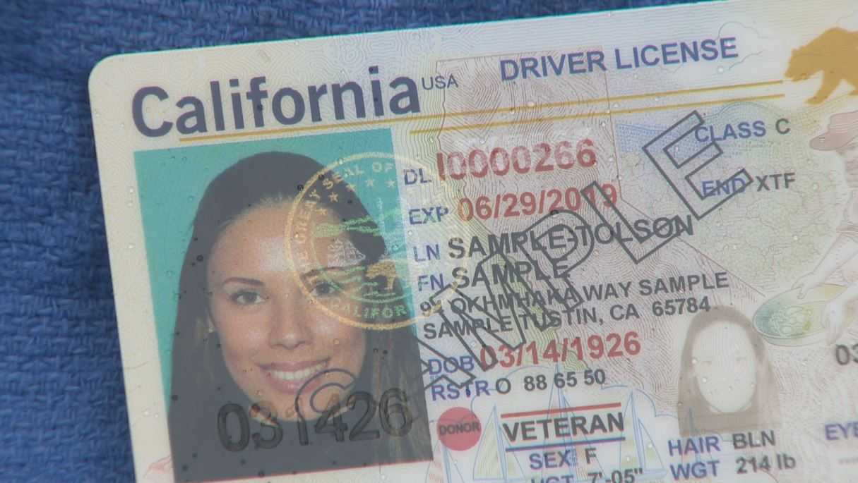 did not receive driver's license california