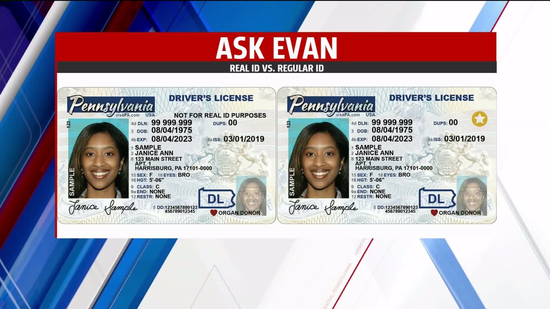 difference between driver's license and real id