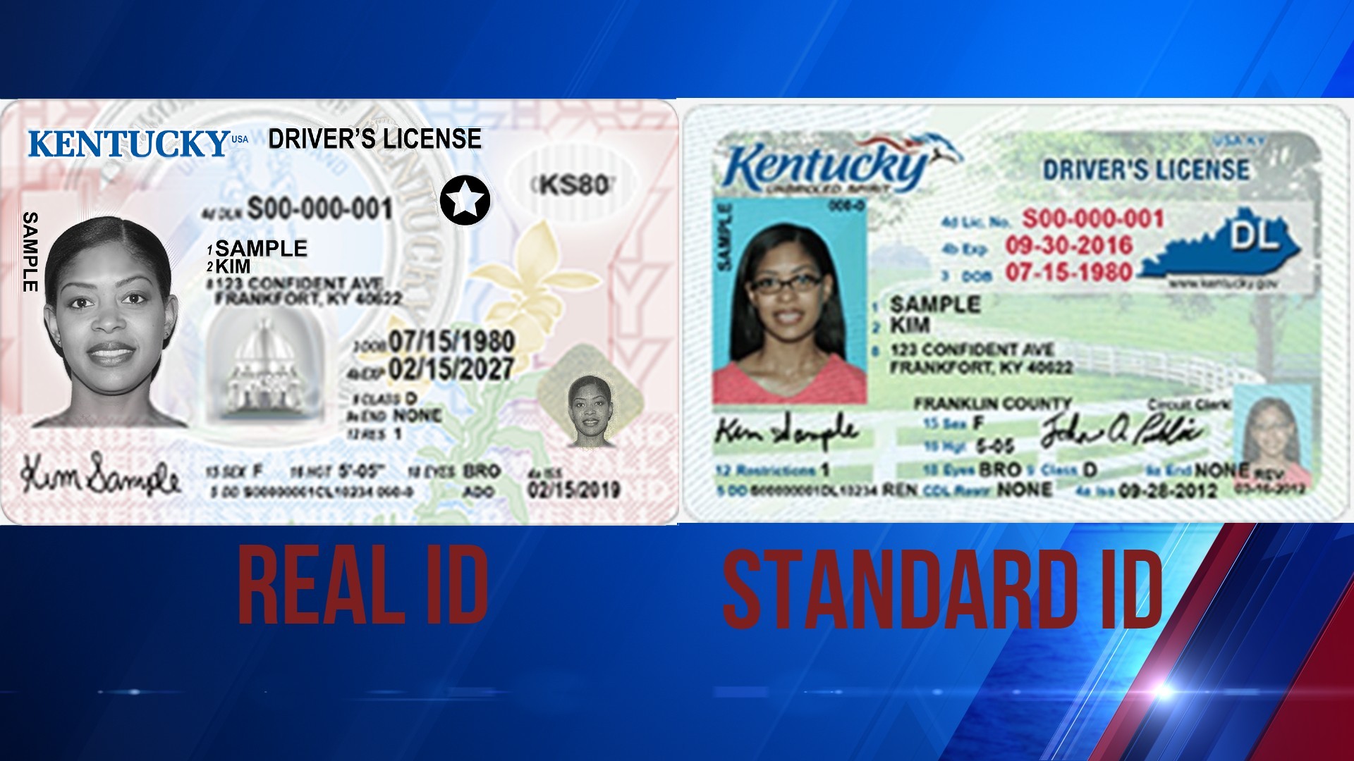 difference between driver's license and real id