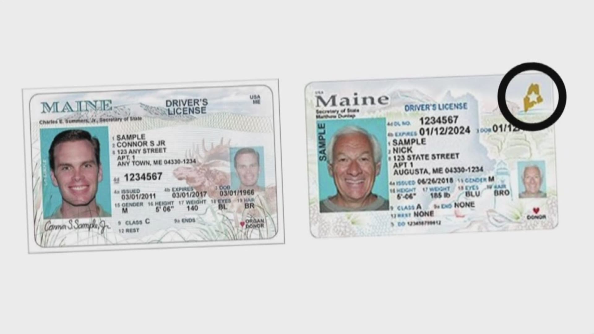 difference between regular driver's license and real id