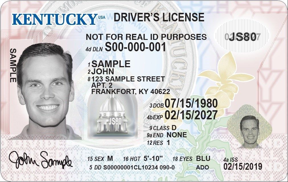 division of driver licensing kentucky