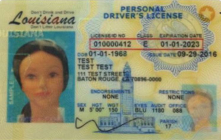 dmv louisiana driver's license