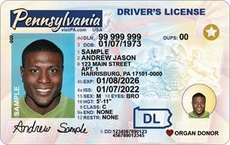 dmv new driver license replacement