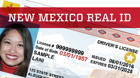dmv new mexico driver license