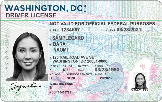 dmv new picture driver's license