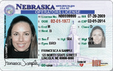 dmv online driver's license