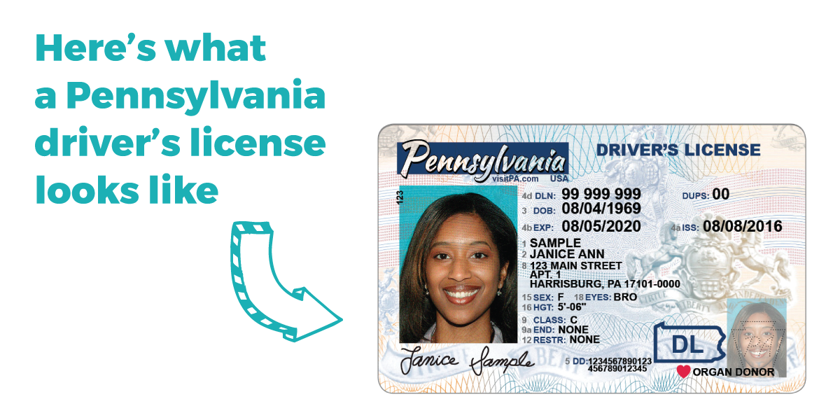 dmv registration driver's license