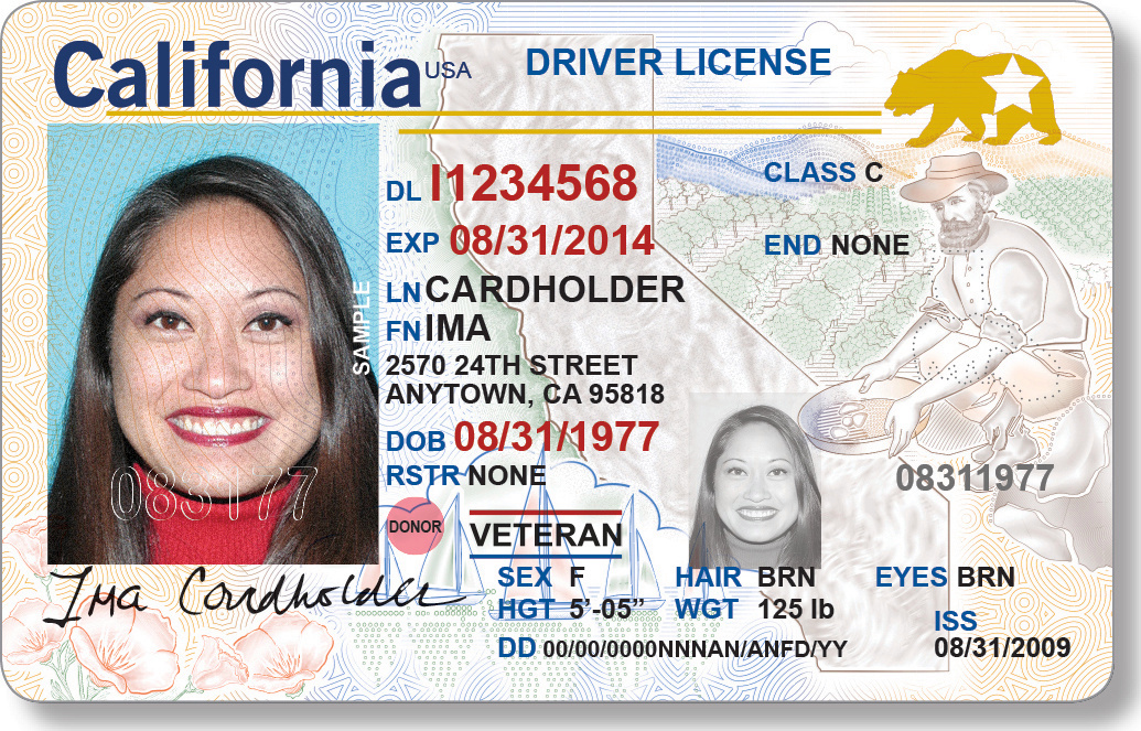 dmv update driver license