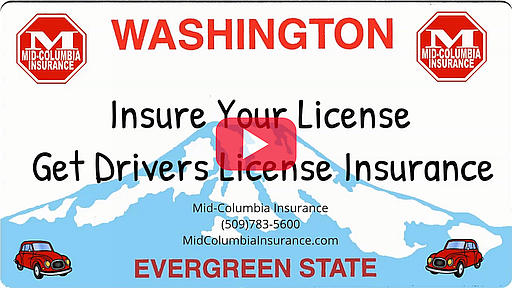 do you need a driver's license to insure a car