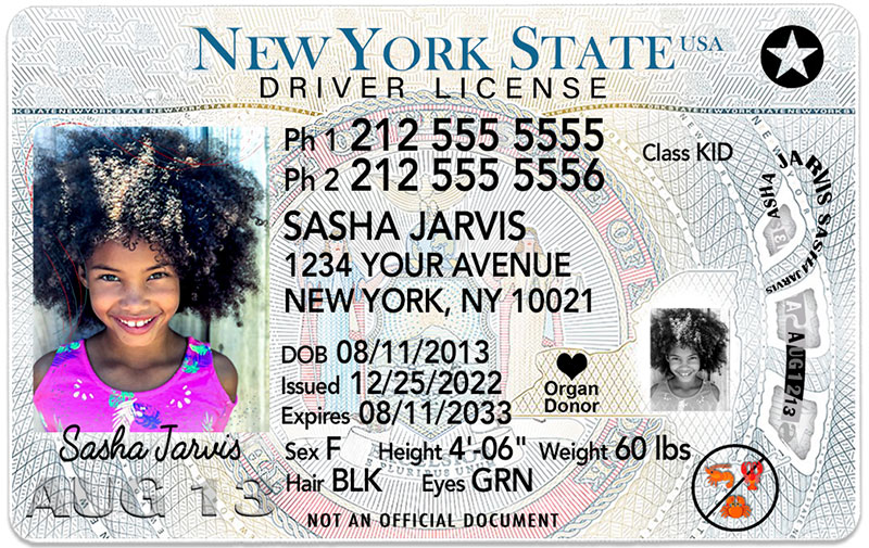 document number on new york state driver's license
