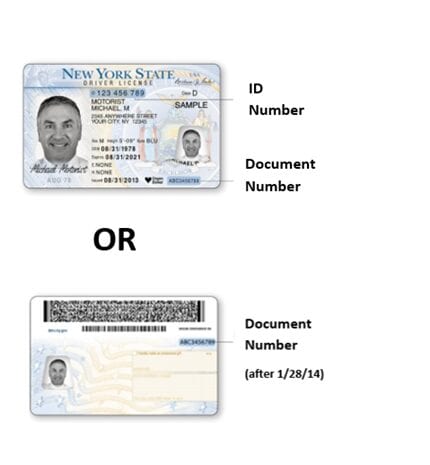 document number on new york state driver's license
