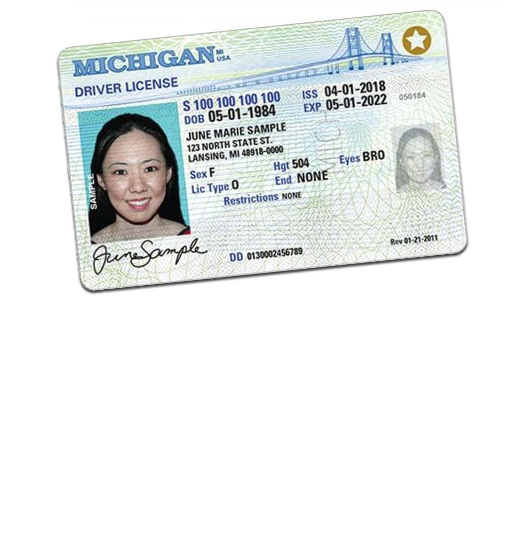 documents needed for michigan driver's license