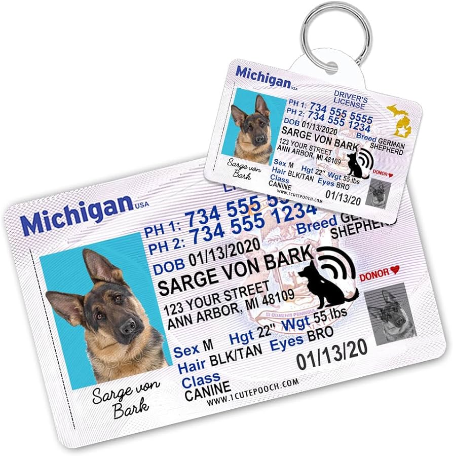dog tag driver's license