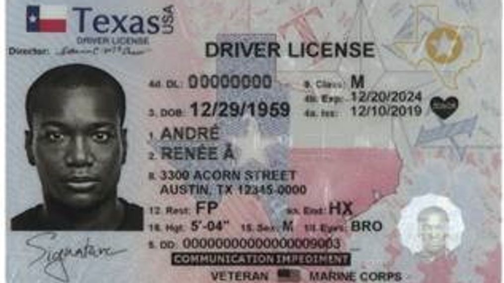 dps driver license test appointment
