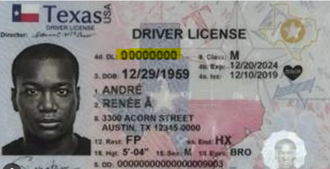 dps driver license test