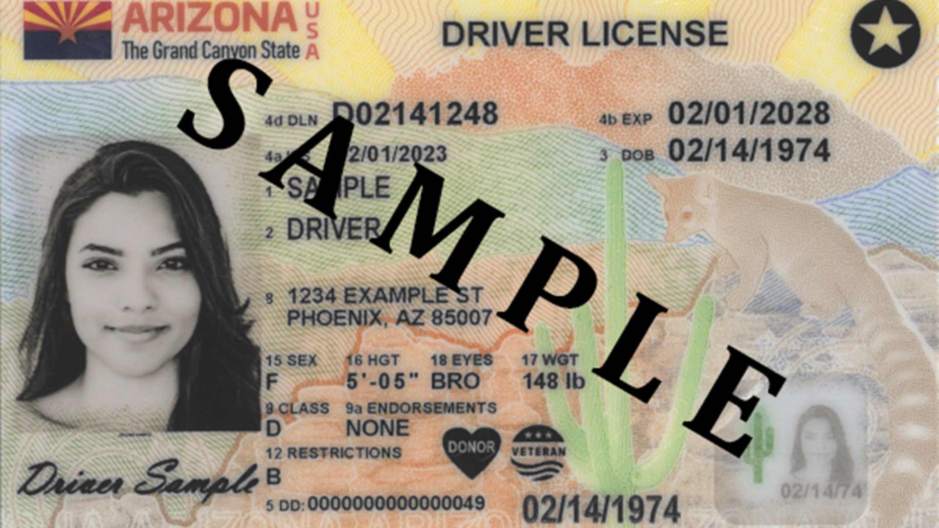 driver license arizona