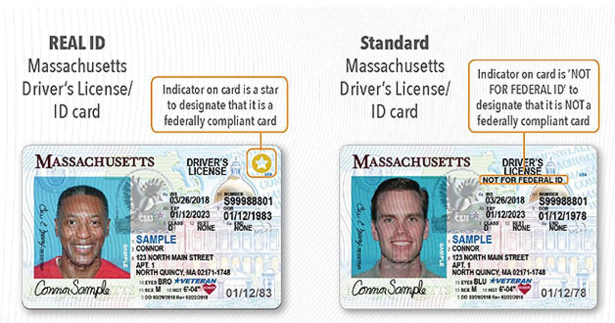 driver license boston ma