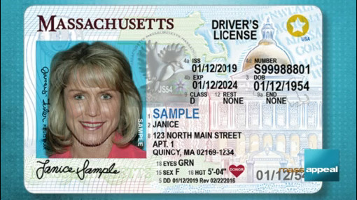 driver license boston ma