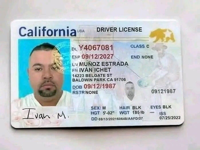 driver license ca