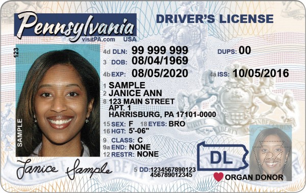 driver license example