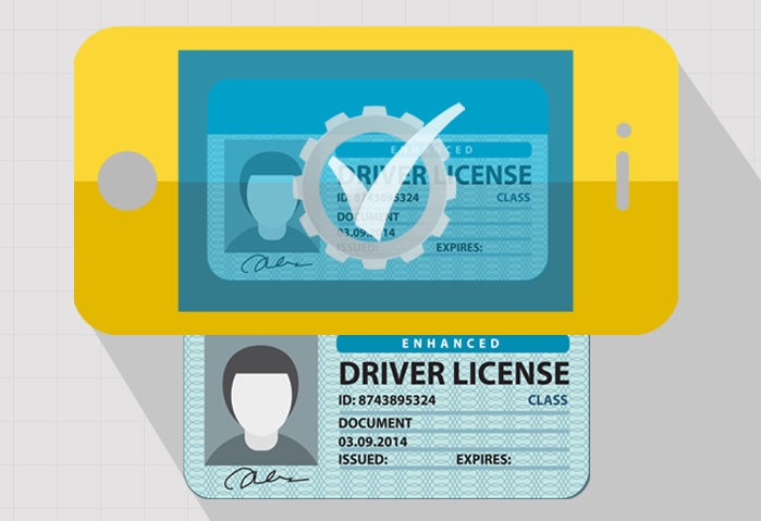 driver license finder