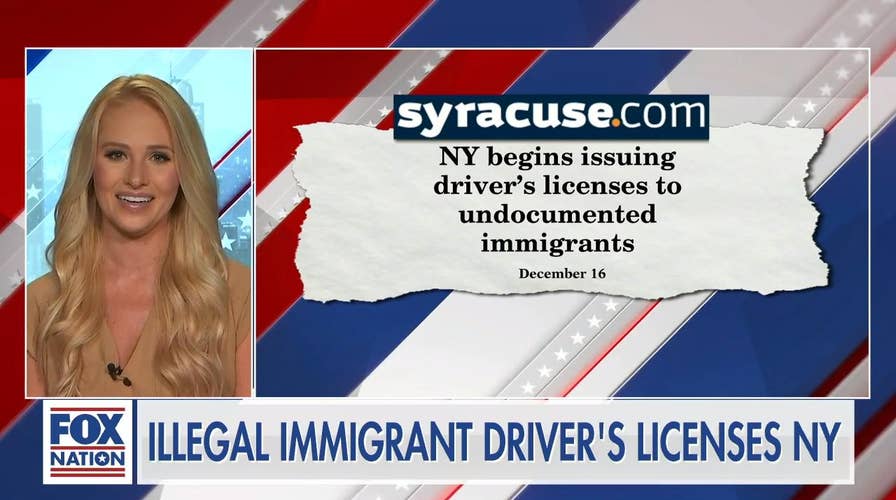 driver license for undocumented immigrants in ny