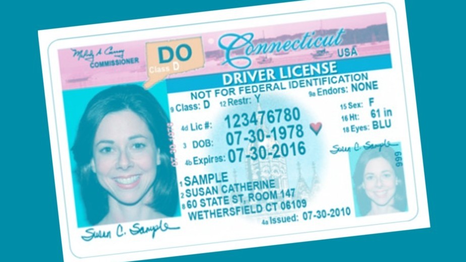 driver license for undocumented immigrants in ny