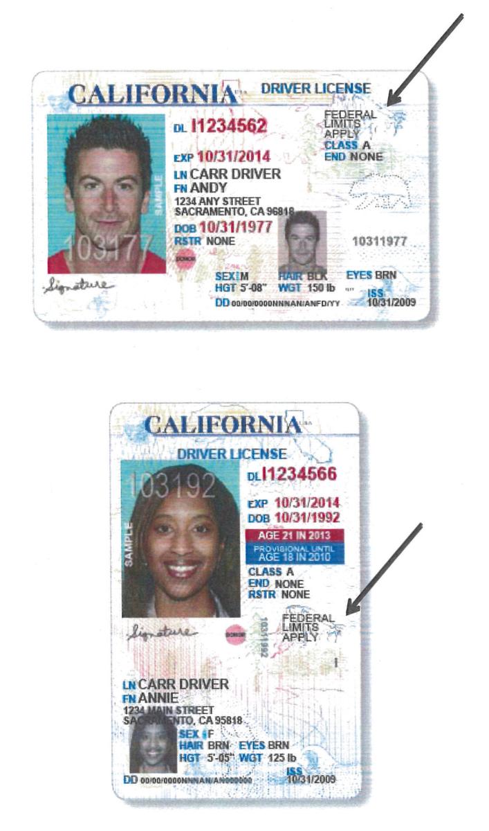 driver license for undocumented immigrants