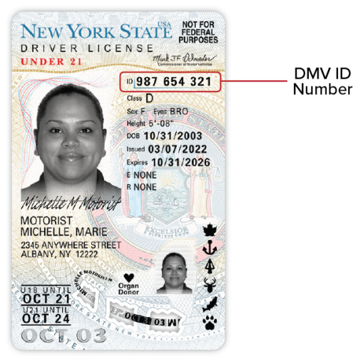driver license generator new york