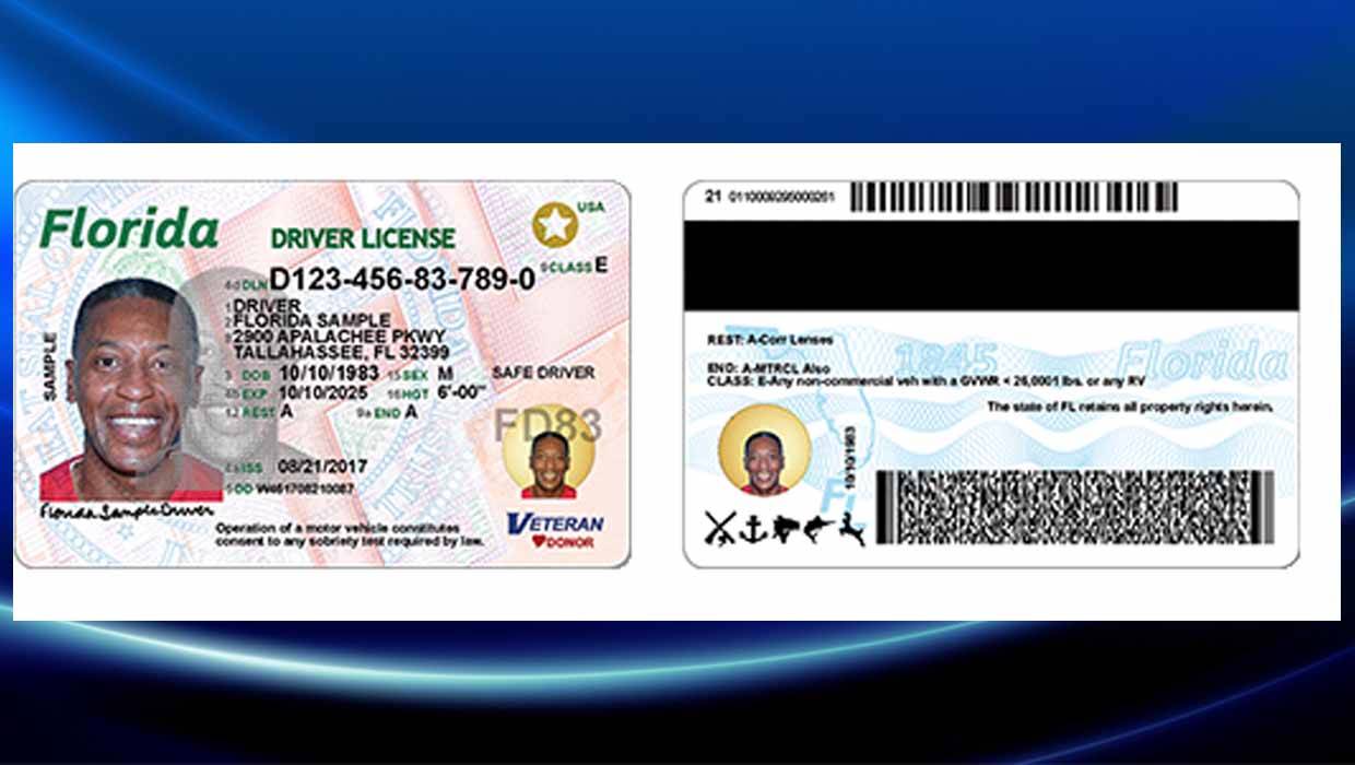 driver license id back and front