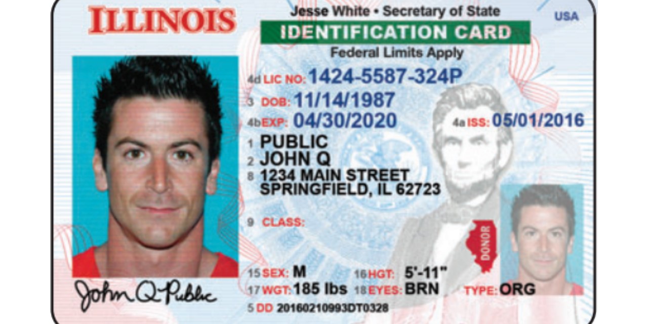 driver license illinois requirements