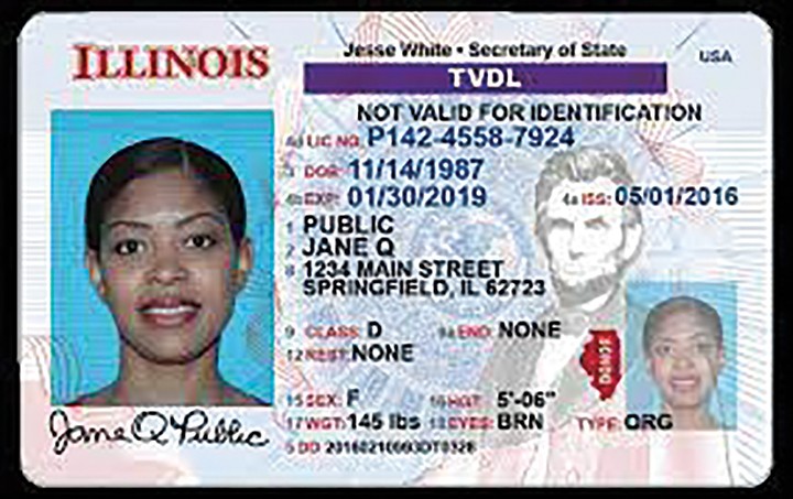 driver license illinois status