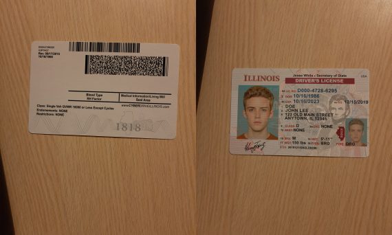 driver license illinois status