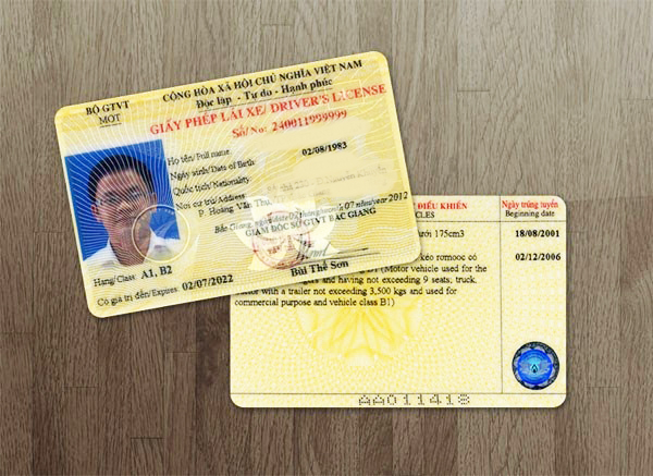 driver license in vietnam