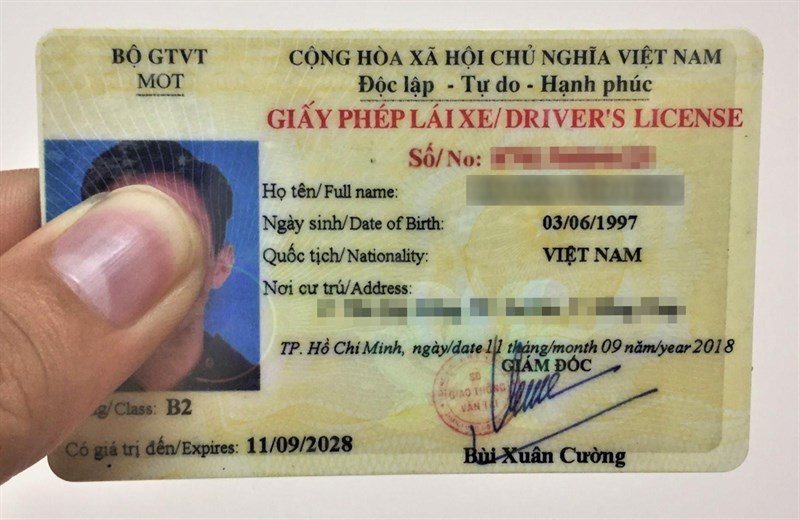 driver license in vietnam