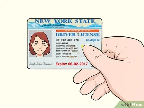 driver license lost ny