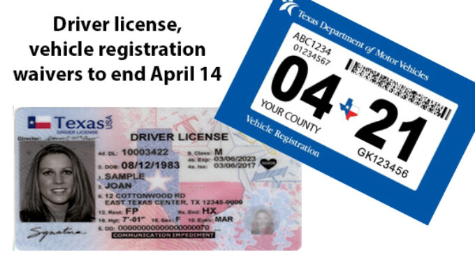 driver license renewal irving tx