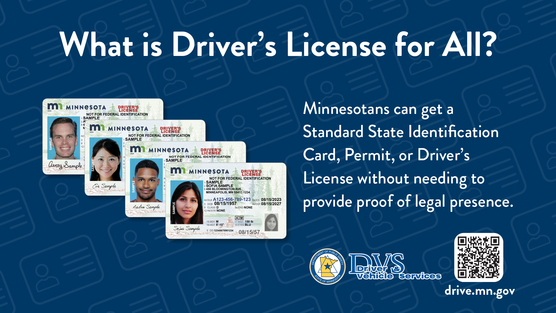 driver's license for all mn