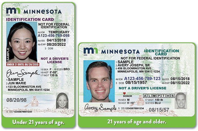 driver's license for all mn