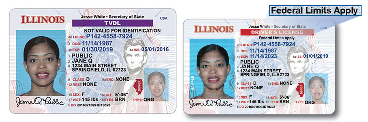 driver's license for undocumented illinois