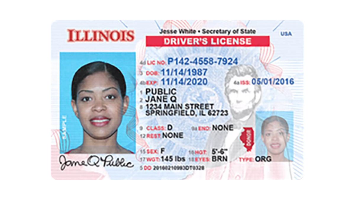 driver's license for undocumented immigrants illinois